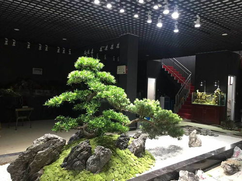 長沙枯山水室內(nèi)外景觀制作案例賞析——湖南綠蟻人庭院設(shè)計(jì)