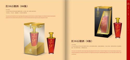 五糧液紅酒品牌策劃與營(yíng)銷(xiāo)推廣方案 借勢(shì)名酒基因，開(kāi)拓品質(zhì)紅酒新藍(lán)海